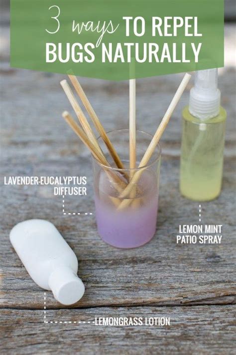 3 Ways To Repel Bugs Naturally Bug Repellent Diy Natural Products Oils