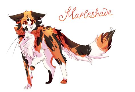 Mapleshadewarrior Cat By Victoriatory2020 On Deviantart