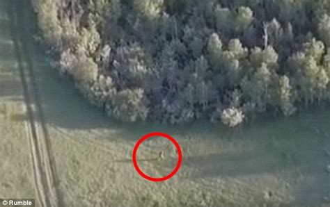 Bigfoot Was Bigfoot Just Captured On Video In Idaho Drone Footage