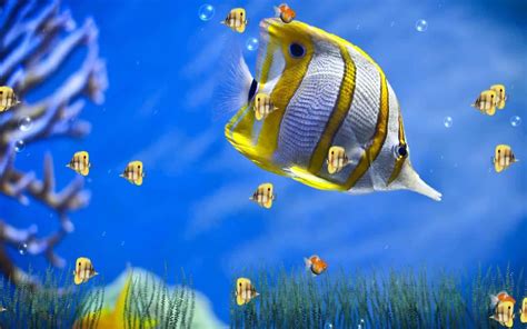 Download 3d Fish Swimming In A Lively Underwater Scene Wallpaper