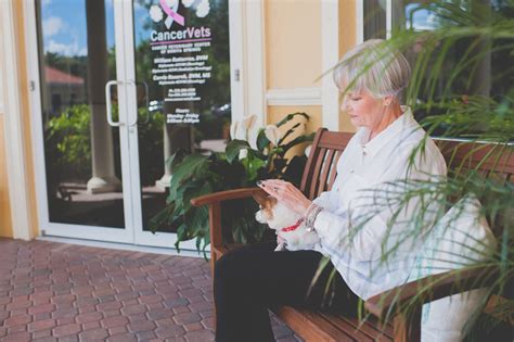 The ABCs of Veterinary Hospital Design - Animal Arts