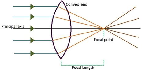 Lens Convex Lens Concave Lens