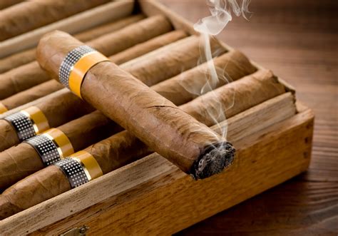 We did not find results for: 4 Great Cigar Choices for a Beginner Smoker | Blogs Now