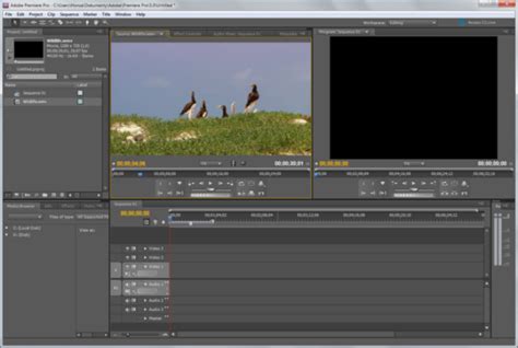 Tips on how to use adobe premiere pro The Best Video Editing Software Similar to Sony Vegas