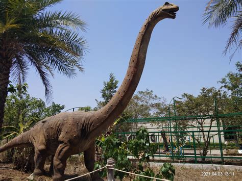 Day Trip At Dinosaur Park In Lonavala Near Mumbai Travel And Food Blogger