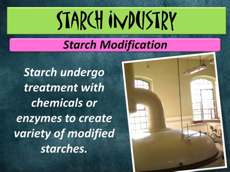 Ppt Starch Powerpoint Presentation Free Download Id2367589