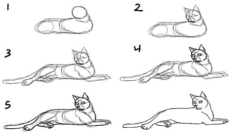How To Draw A Cat Step By Step 10 Drawing Tutorials For Beginners