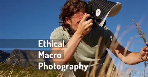 Ethical Macro Photography Wildmacro Extreme Macro Photography