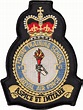 No 6 Flying Training School Royal Air Force RAF Crest Embroidered Patch