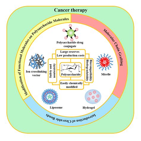 Ijms Free Full Text Versatile Types Of Polysaccharide Based Drug