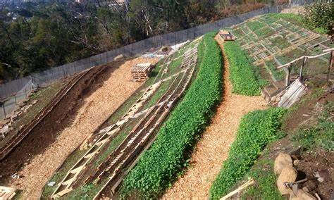 How To Landscape A Steep Slope Good Life Permaculture
