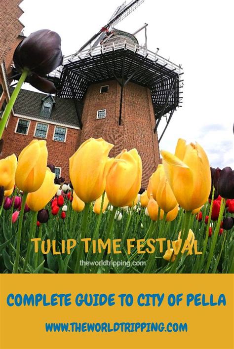 Complete Guide To City Of Pella Iowa Tulip Time Festival The World