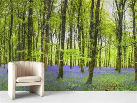 Buy Bluebell Sunrise Wall Mural Free Us Shipping At