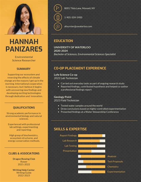 Infographic Cv Template Database Letter Templates