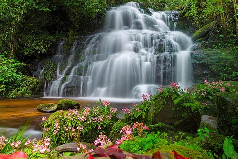 Waterfall In Tropical Forest Forest Tropics Plants Trees Waterfall