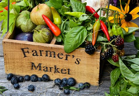 The 9 Best Farmers Markets Around Los Angeles Zocha Group Blog
