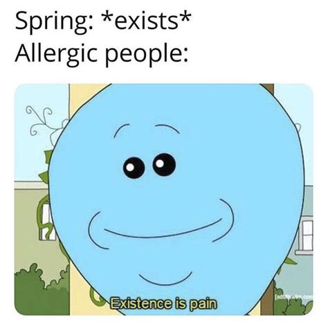 These Allergy Memes Are Perfect For Spring Spring Has Sprung Memes