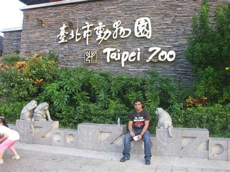 Elephants Picture Of Taipei Zoo Taipei Tripadvisor