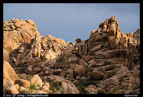 Picturephoto Wonderland Of Rocks Joshua Tree National Park