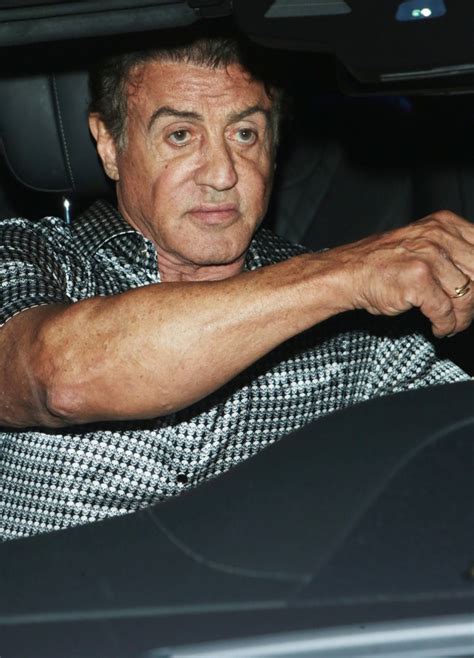 Sylvester Stallone Pictures Latest News Videos