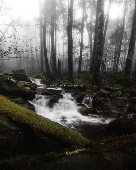 A Foggy River In Great Smoky Mountains National Park Rgwcoepbot