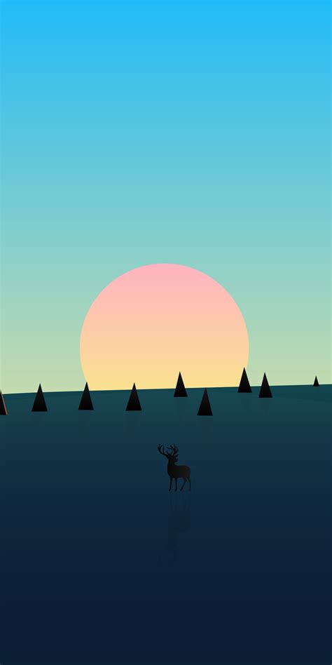 1080x2160 Beautiful Day Sunset Deer Minimal 8k One Plus 5thonor 7x