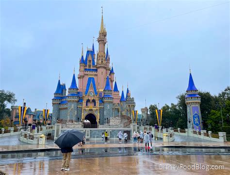 22 Photos And Videos From Our Rainy Day At Disney World Disney By Mark