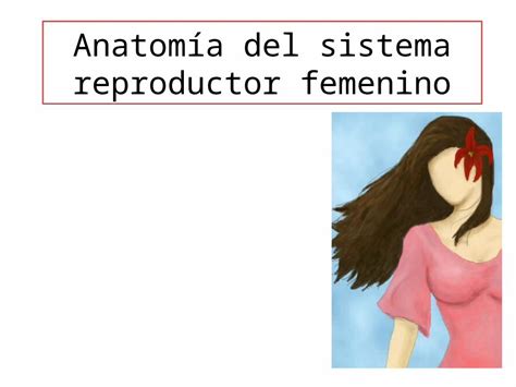 Pptx Anatomia Del Aparato Reproductor Femenino Dokumen Tips Hot Sex