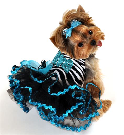 Designer Custom Made Dog Clothing Tinkerbells Closet Dog Couture