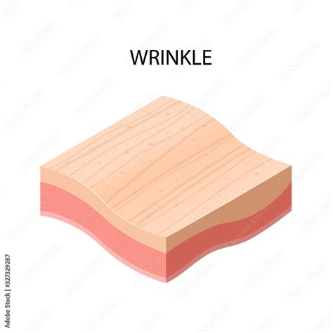 Wrinkle Formation Cross Section Of Human Skin Layers Structure Skincare