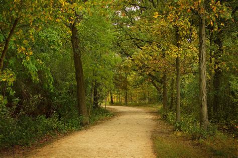 Wooded Trail Photograph By Dennis James Fine Art America