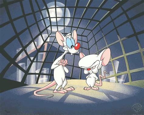 Pinky And The Brain Wallpapers Wallpaper Cave