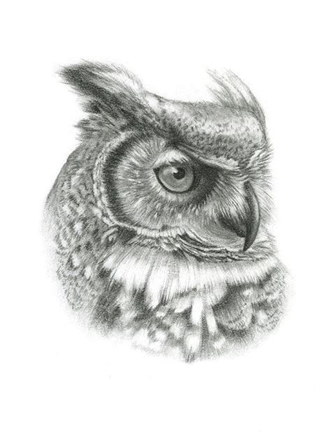 Framed Original Great Horned Owl Drawing By Thebriarartshop Owl
