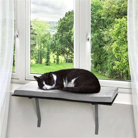 Tucker Murphy Pet Ozbourn Cat Window Perch Seat And Reviews Wayfair