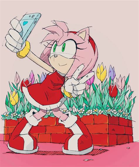 Sonamy Sonic And Amy Rose The Hedgehog