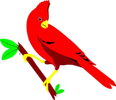 Cardinals Clipart 20 Free Cliparts Download Images On Clipground 2023