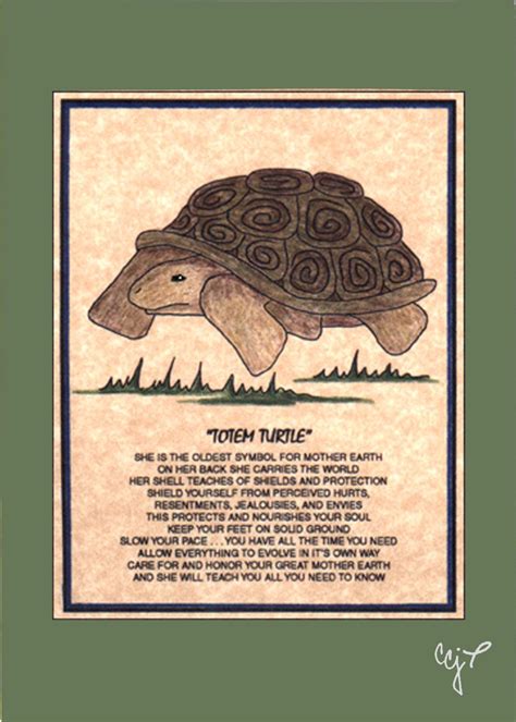 Turtle Symbolism In Native American Culture Tersa