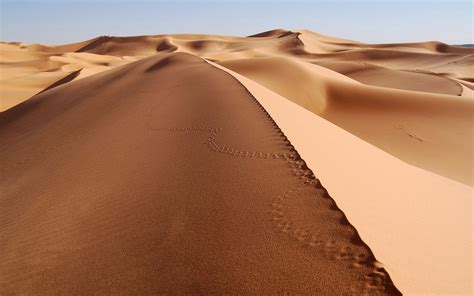 Wallpaper Landscape Nature Desert Sahara Habitat Natural