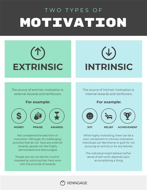 Types Of Motivation Comparison Venngage