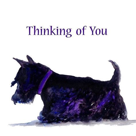 Scottie Dog Thinking Of You Greeting Card By Archyscottie Scottie