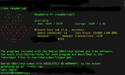 If i had a bitcoin for every new cryptocurrency idea that came along, i'd be a very rich man. My Raspberry Pi Bitcoin Node up and running, 100% ...