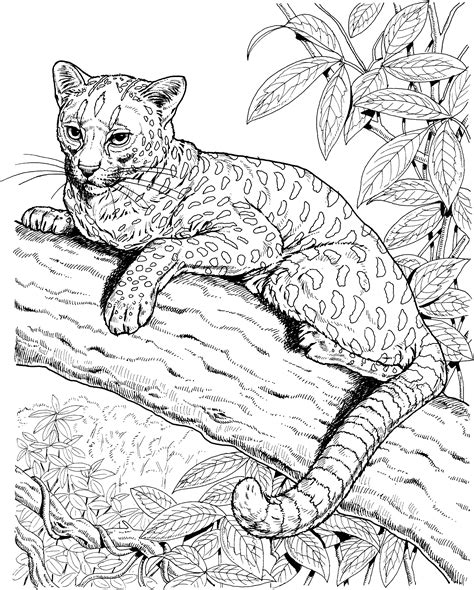 Realistic Wild Animal Coloring Pages Realistic Images Of Wild Animals