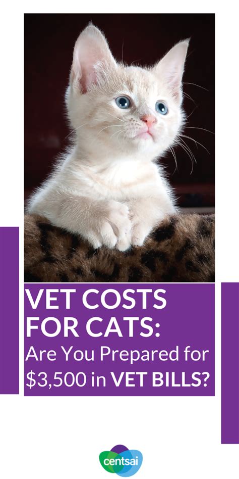 Specialty animal vets are very expensive and my costs to date are just shy of $3,000. Vet Costs for Cats: Are You Prepared for the Bills | Vet ...