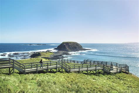 10 Best Things To Do In Phillip Island Bass Coast Shire Phillip