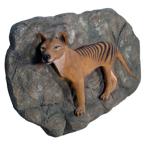 Tasmanian Tiger Thylacine On Rock Plinth Sculptures Natureworks