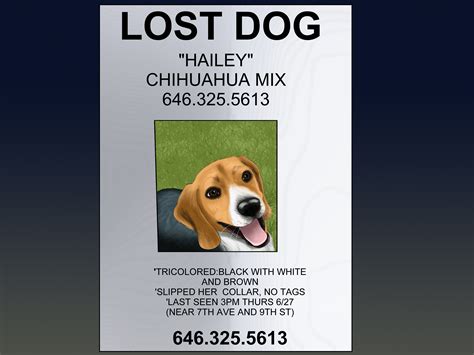Every day hundreds of pets are lost and only a few find their owners again. How to Make an Effective Missing Pet Poster (with Pictures)