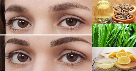If you're using a body groomer, then just begin shaving. Ways To Thicken Your Eyebrows Naturally | Best 5 Home ...