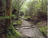 Hiking Trails In The Smoky Mountains