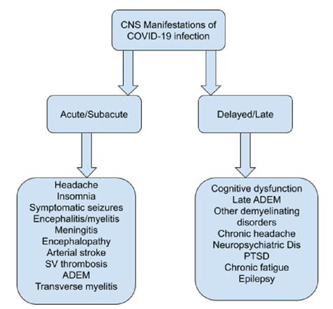 Cureus Para And Post Covid 19 Cns Acute Demyelinating Disorders In