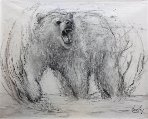 Spirit Bear Water Drawing By Fiona Tang Saatchi Art